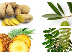 Herbal Remedies for Inflammatory Diseases