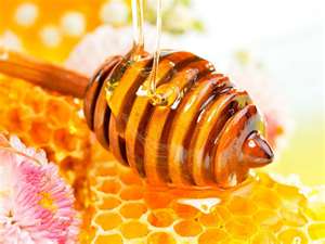Types of Honey You Should Know